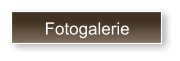 Fotogalerie
