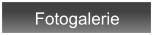 Fotogalerie
